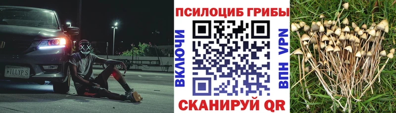 купить закладку  ОМГ ОМГ зеркало  Галлюциногенные грибы Psilocybe  Одинцово 
