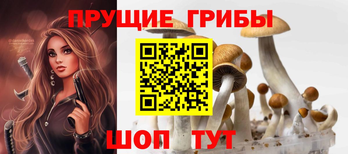 Галлюциногенные грибы Magic Shrooms Одинцово