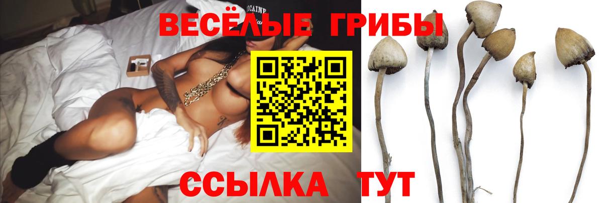 Одинцово  Псилоцибиновые грибы Psilocybe  Галлюциногенные грибы Cubensis  Вход с VPN 